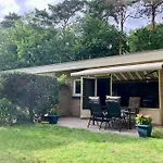 Sluwe Vos: Ontspannen In Het Bos! *