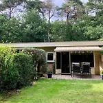 Sluwe Vos: Ontspannen In Het Bos! *