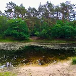 別荘 Sluwe Vos: Ontspannen In Het Bos!