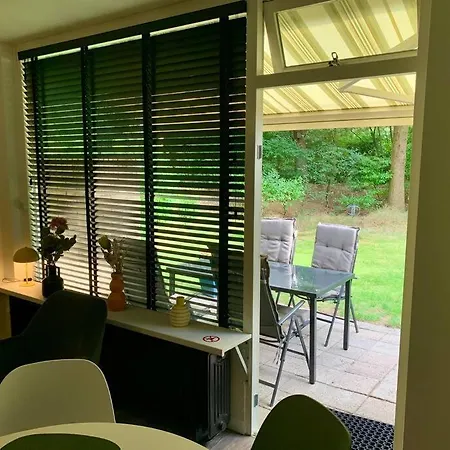 Sluwe Vos: Ontspannen In Het Bos!