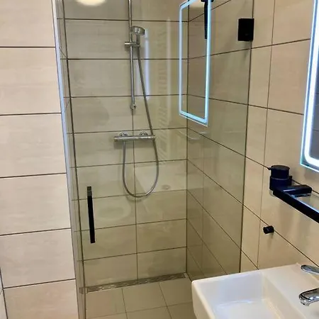 Sluwe Vos: Ontspannen In Het Bos!