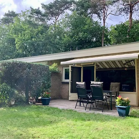 Sluwe Vos: Ontspannen In Het Bos! *