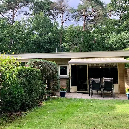 Sluwe Vos: Ontspannen In Het Bos! *