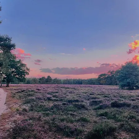 Sluwe Vos: Ontspannen In Het Bos! Holiday home