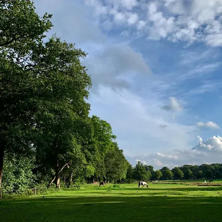 Sluwe Vos: Ontspannen In Het Bos! Holiday home *