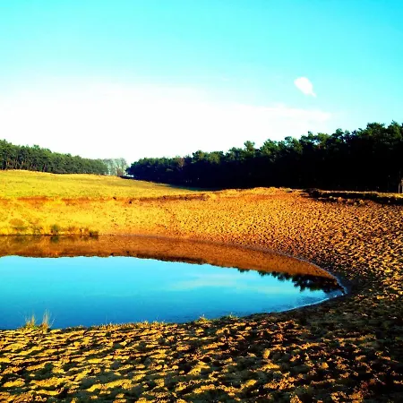 Ferienhaus Sluwe Vos: Ontspannen In Het Bos! *