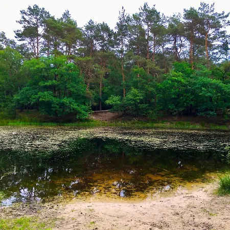 Holiday home Sluwe Vos: Ontspannen In Het Bos!