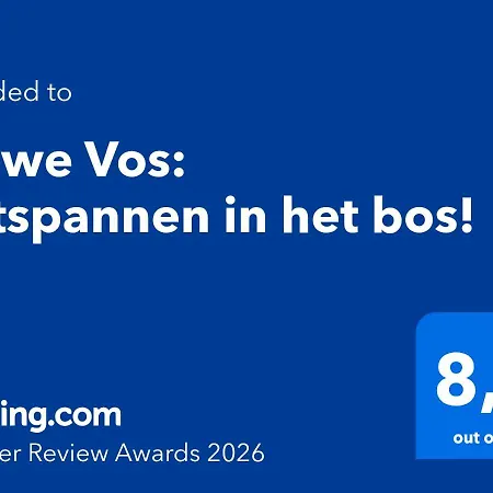 Sluwe Vos: Ontspannen In Het Bos! * Otterlo