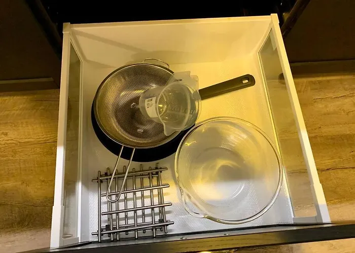 Sluwe Vos: Ontspannen In Het Bos! Otterlo