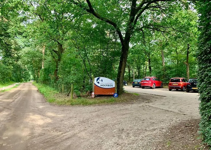 Sluwe Vos: Ontspannen In Het Bos! *