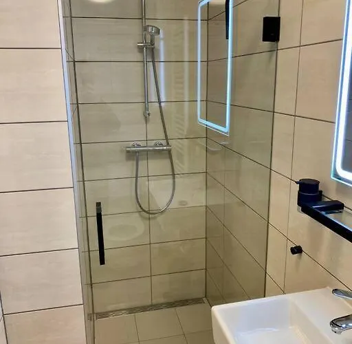 Sluwe Vos: Ontspannen In Het Bos!