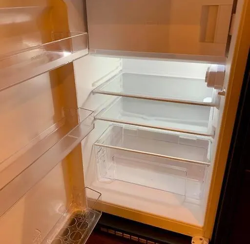 Sluwe Vos: Ontspannen In Het Bos! * Otterlo