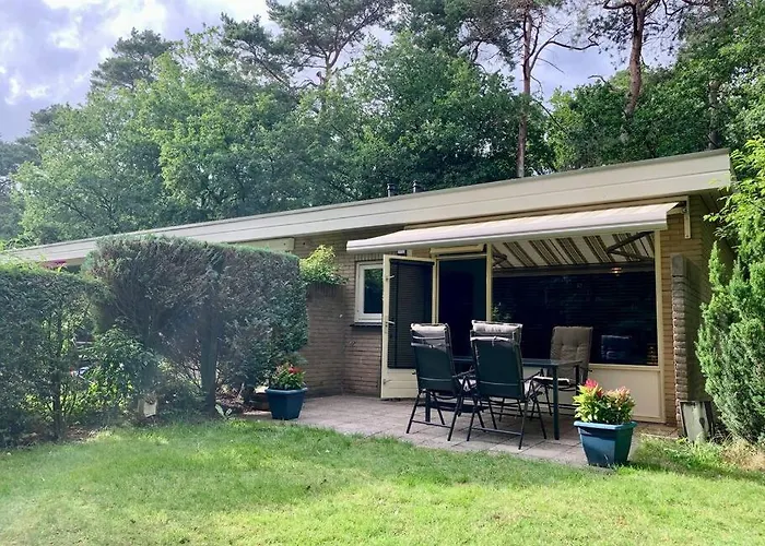 Sluwe Vos: Ontspannen In Het Bos! *