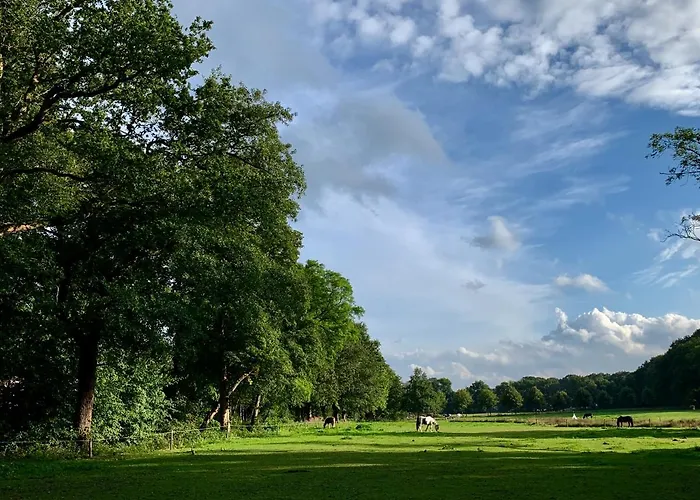 Sluwe Vos: Ontspannen In Het Bos! Dom wakacyjny *