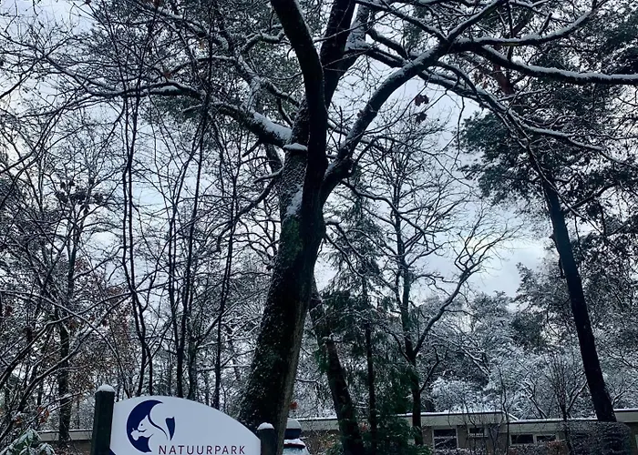 Feriehus Sluwe Vos: Ontspannen In Het Bos!