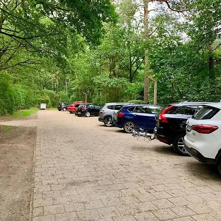 Sluwe Vos: Ontspannen In Het Bos! Сasa de vacaciones *