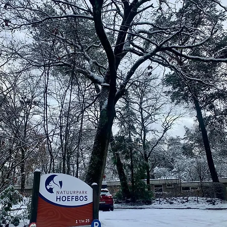 Сasa de vacaciones Sluwe Vos: Ontspannen In Het Bos!