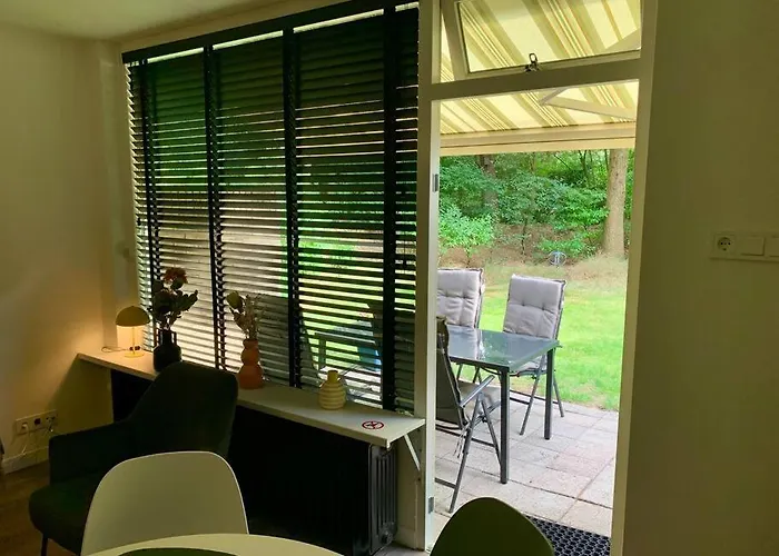 Sluwe Vos: Ontspannen In Het Bos!