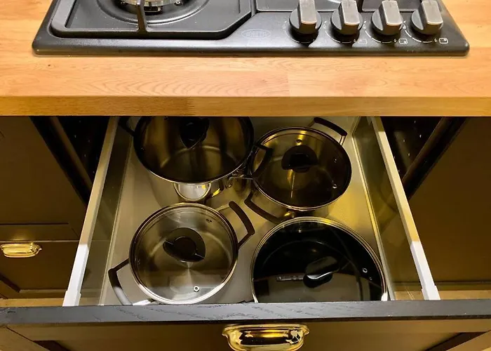 Sluwe Vos: Ontspannen In Het Bos! Сasa de vacaciones *