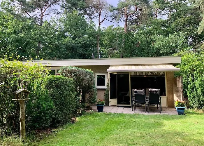 Sluwe Vos: Ontspannen In Het Bos! *