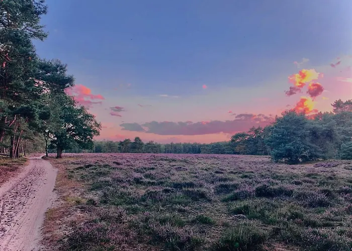 Sluwe Vos: Ontspannen In Het Bos! Сasa de vacaciones