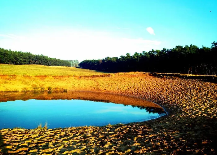 Сasa de vacaciones Sluwe Vos: Ontspannen In Het Bos! *
