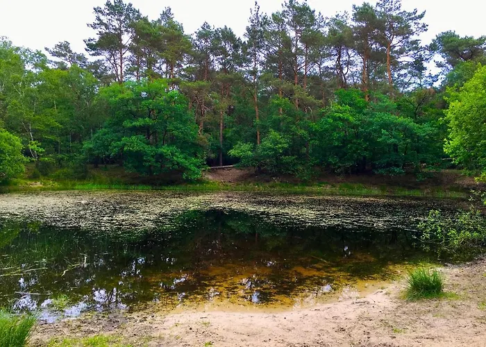 Сasa de vacaciones Sluwe Vos: Ontspannen In Het Bos!